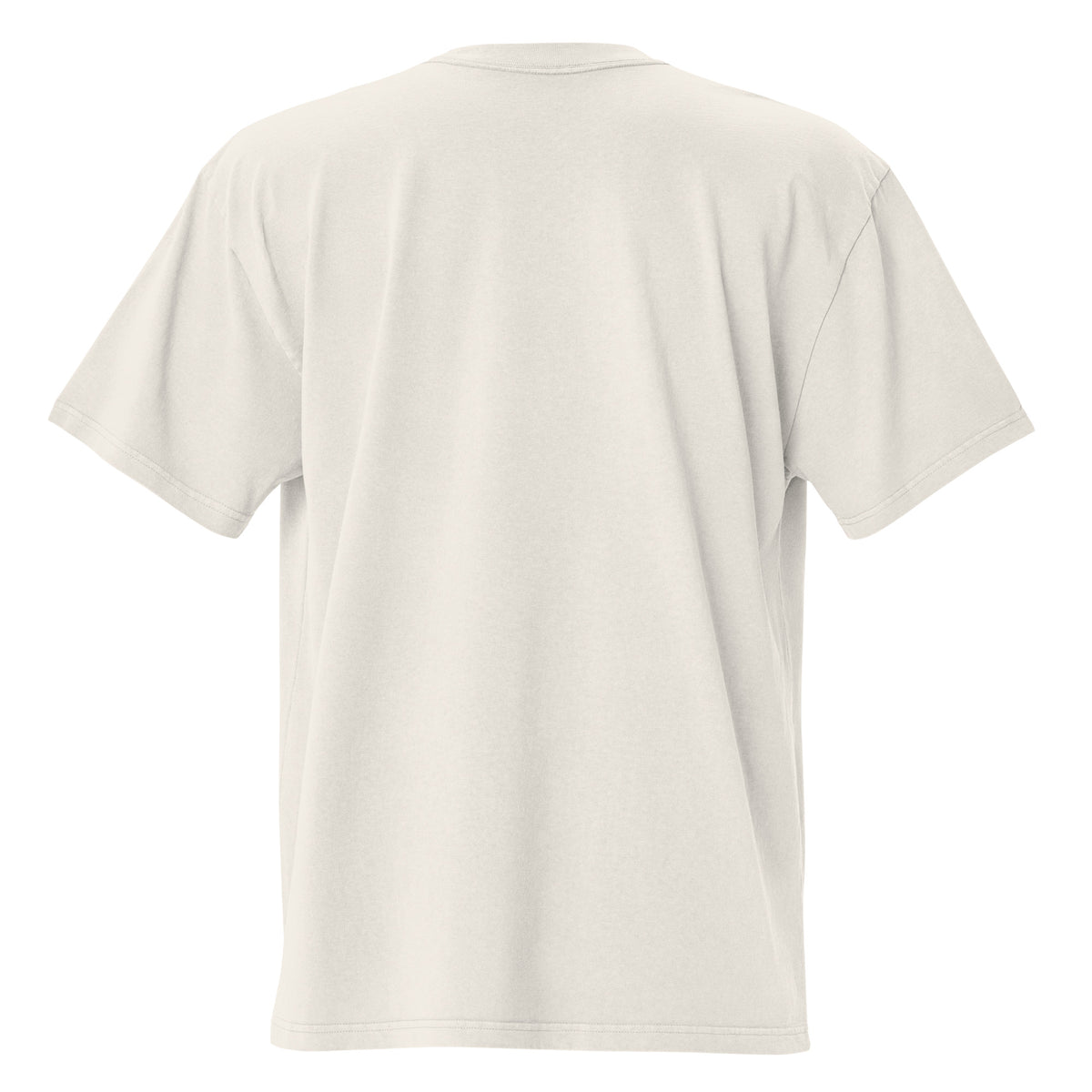 SimGym Heavy Lift T-Shirt in Faded Bone - back view