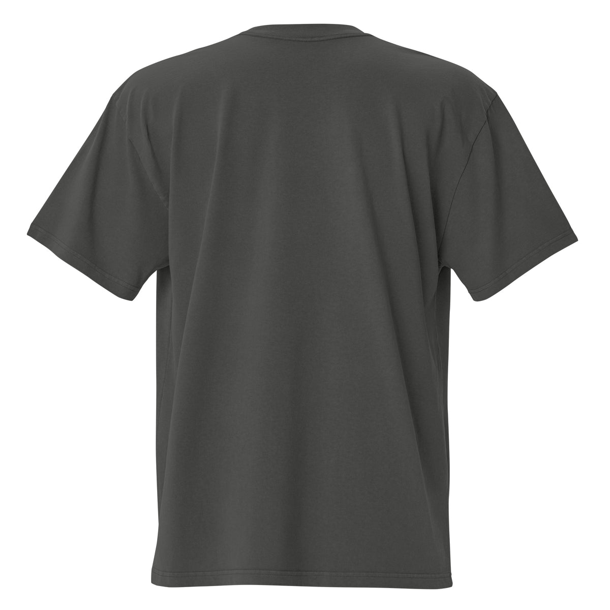 SimGym Clone Crew T-Shirt in Faded Coal - back view