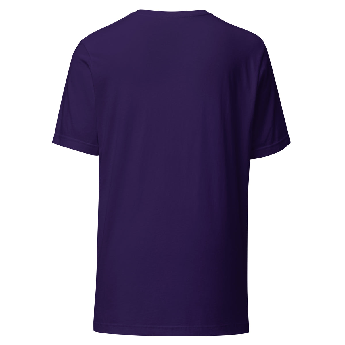 SimGym Orbit T-Shirt in Team Purple - back view